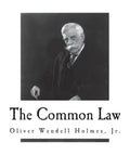 The Common Law - Paperback