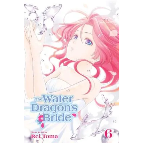 The Water Dragon's Bride, Vol. 6 - Paperback