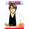 Bleach, Vol. 12 - Paperback