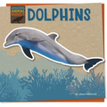 Dolphins - Paperback