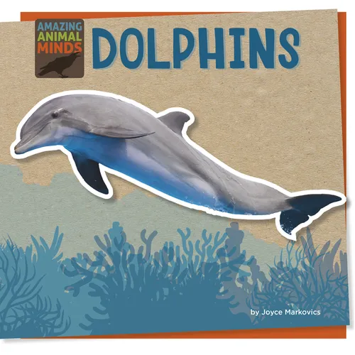 Dolphins - Paperback