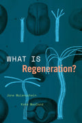 What Is Regeneration? - Paperback
