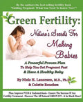 Green Fertility: Nature's Secrets For Making Babies: A Powerful Proven Plan To Help You Get Pregnant Fast & Have Healthier Babies! - Paperback