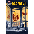 Jeph Loeb & Tim Sale: Daredevil - Paperback