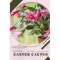 Easter Cactus: Plant Guide - Paperback