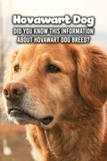 Hovawart Dog: Did You Know This Information About Hovawart Dog Breed?: Hovawart Dog Outline Handbook - Paperback
