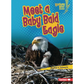 Meet a Baby Bald Eagle - Paperback