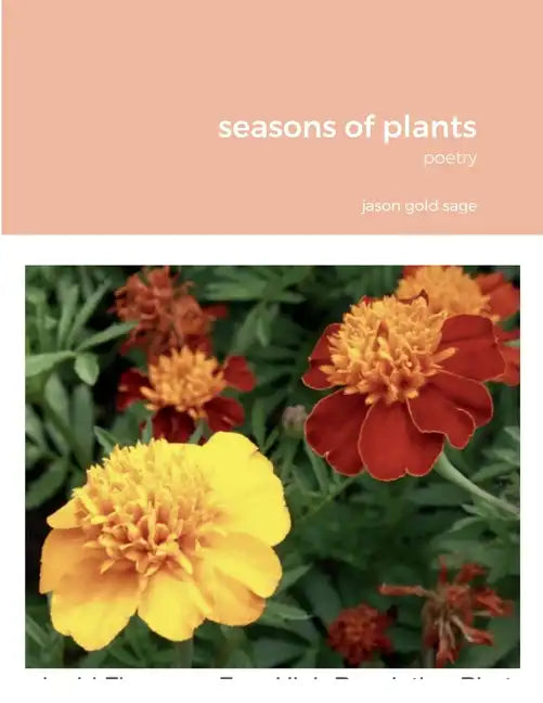 seasons of plants - Paperback