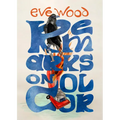 Remarks on Color - Hardcover