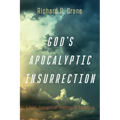 God's Apocalyptic Insurrection: A Post-Evangelical Theology of Salvation - Paperback