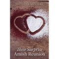 Their Surprise Amish Reunion - Library Binding