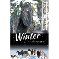 Winter with Horses - Paperback