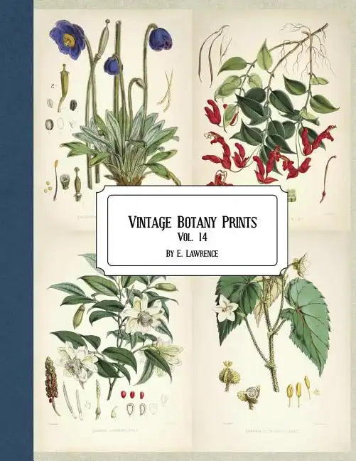 Vintage Botany Prints: Vol. 14 - Paperback