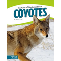 Coyotes - Library Binding