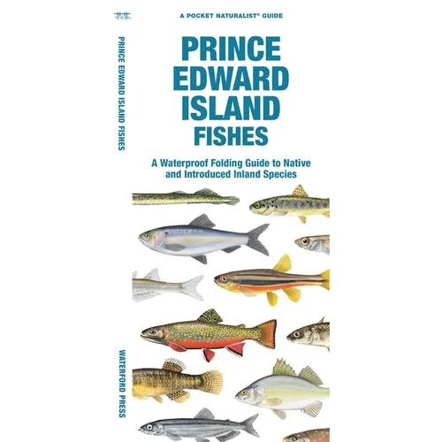 Prince Edward Island Fishes - Paperback