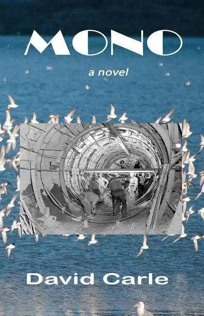 Mono - Paperback
