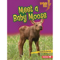 Meet a Baby Moose - Library Binding
