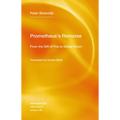 Prometheus's Remorse: From the Gift of Fire to Global Arson - Paperback
