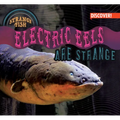 Electric Eels Are Strange - Library Binding