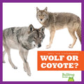 Wolf or Coyote? - Library Binding