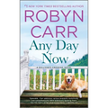 Any Day Now - Paperback