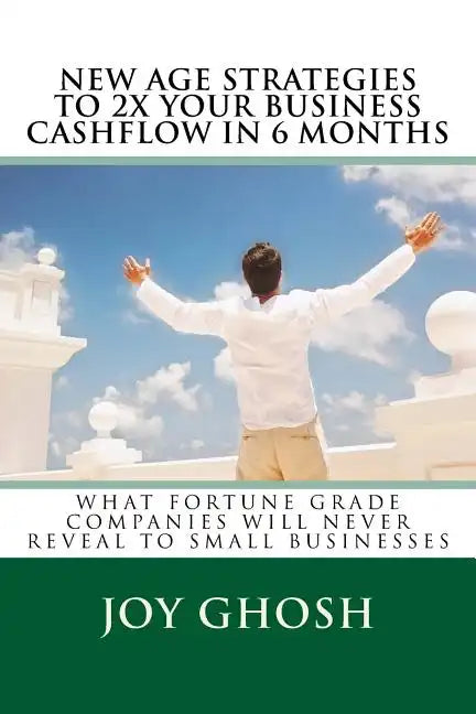 New Age Strategies To 2X Your Business Cashflow in 6 Months: What Fortune Grade Companies Will Never Reveal To Your Small Businesses - Paperback