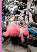 Toxic Temple: An Artistic and Philosophical Adventure Into the Toxicity of the Now - Hardcover