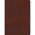 KJV Study Bible, Large Print Edition, Brown Bonded Leather - Bonded Leather