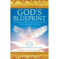 God's Blueprint: Understanding God's Divine Plan For Purposeful Living - Paperback