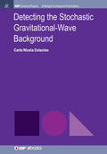 Detecting the Stochastic Gravitational-Wave Background - Hardcover