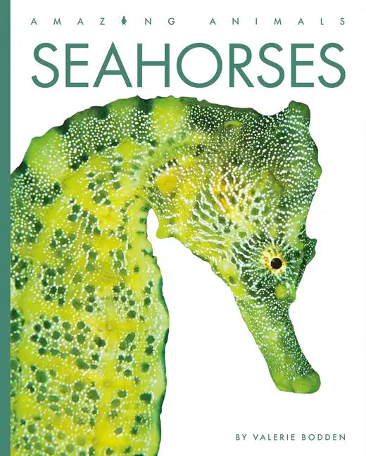 Seahorses - Paperback