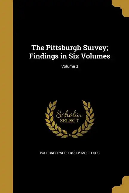 The Pittsburgh Survey; Findings in Six Volumes; Volume 3 - Paperback