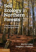 Soil Ecology in Northern Forests - Paperback