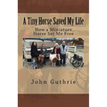 A Tiny Horse Saved My Life: How a Miniature Horse Set Me Free - Paperback