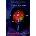 A Brief History of the Mind: From Apes to Intellect and Beyond - Paperback