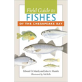 Field Guide to Fishes of the Chesapeake Bay - Paperback