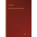 Little Elsie's Summer At Malvern - Paperback