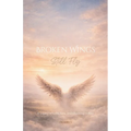 Broken Wings Still Fly - Paperback