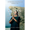 God's Call: Why I Entered the Seminary - Paperback