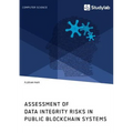 Assessment of Data Integrity Risks in Public Blockchain Systems - Paperback
