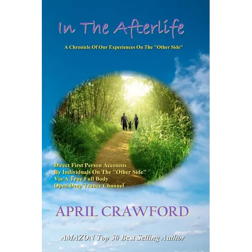 In The Afterlife: A Chronicle Of Our Experiences On The "Other Side" Direct Personal Life After Death Accounts By Individuals On The "Ot - Paperback