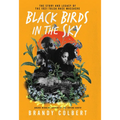 Black Birds in the Sky: The Story and Legacy of the 1921 Tulsa Race Massacre - Library Binding