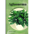 Aglaonema: Why my Plant not grow? problems and their solutions - Paperback