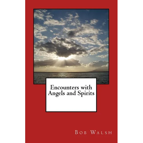 Encounters with Angels and Spirits - Paperback