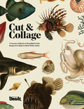 Cut and Collage - Paperback