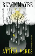 The Black Maybe: Liminal Tales - Paperback