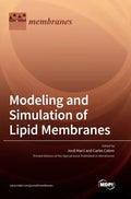 Modeling and Simulation of Lipid Membranes - Hardcover
