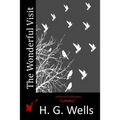 The Wonderful Visit - Paperback