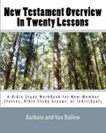 New Testament Overview In Twenty Lessons: A Bible Study Workbook For New-Member Classes, Bible Study Groups, Or Individuals - Paperback