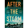 After the Storm - Paperback